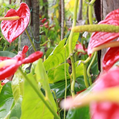 La Kaz Fleur Vanille Saint Benoit Bagian luar foto